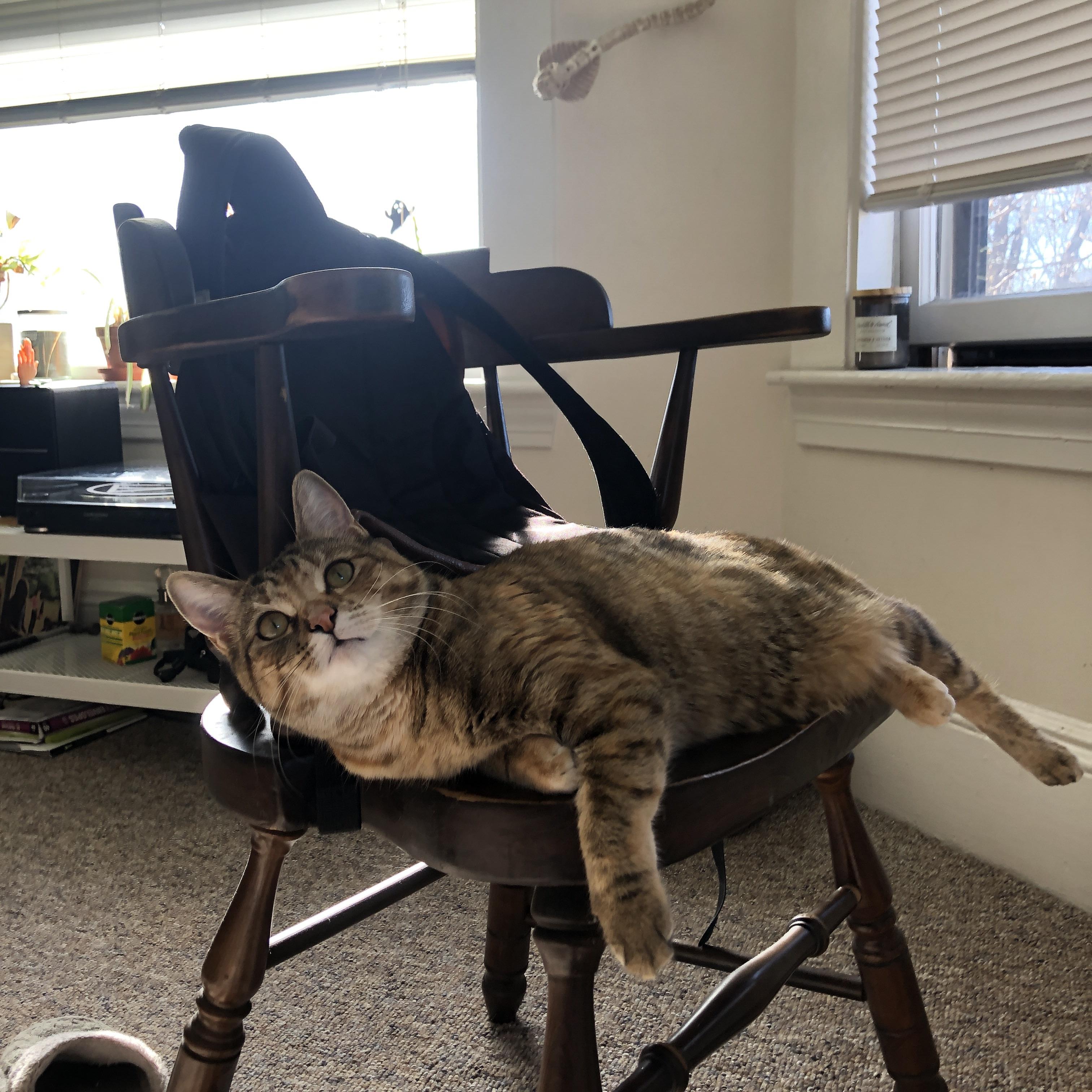 《星际争霸2》新指挥官上线:技能特点与战术搭配,星际争霸二指挥官排名