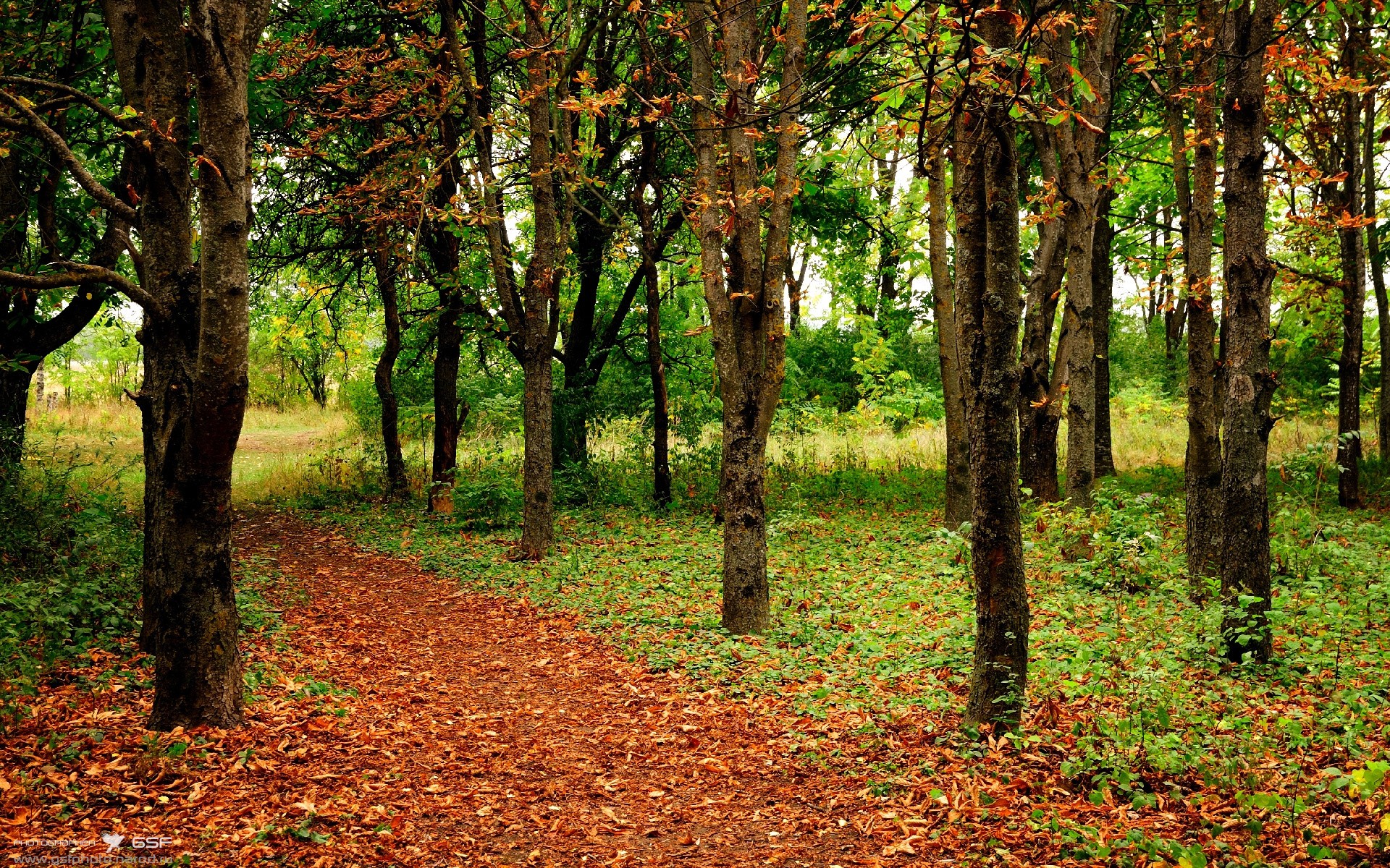 中国青少年篮球创新大赛集中展现未来潜力股票,2020年全国青少年篮球比赛有哪些