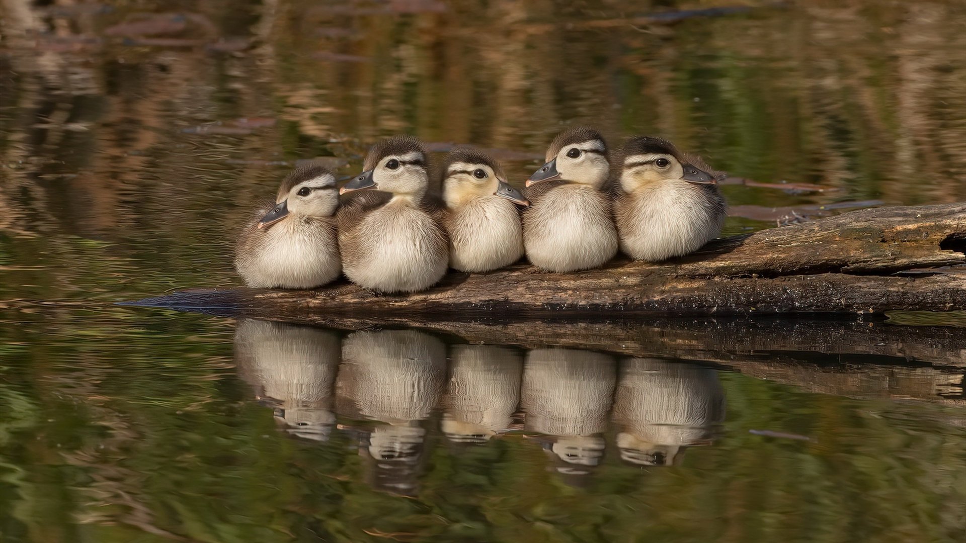 关键战中，他多次用冷静的罚球锁定胜局，成为“铁血”队伍的稳定器！