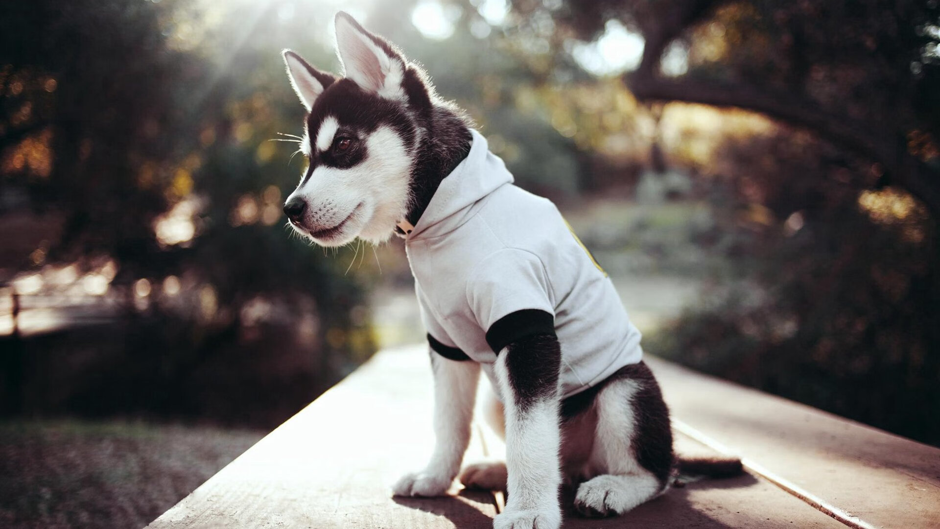 墨西哥队在巴黎奥运会比赛中展现出强大的远射能力，奥运墨西哥巴西