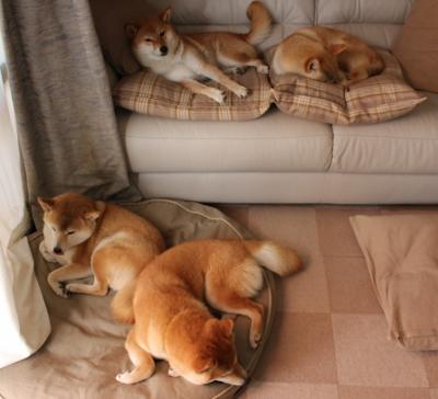 开云官网入口-夜间水上漂移大赛，灯光与水流的激情碰撞，水上漂流是什么